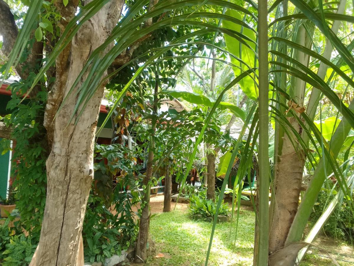 Sigiriya Village Home Stay & Private Room Екстер'єр фото